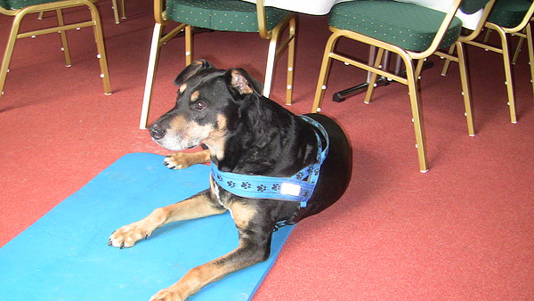 med_5 Vero.JPG (600 x 338)